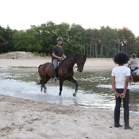 Vakantiebungalow En Glamping Op De Veluwe *