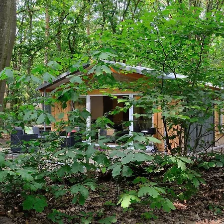 Vakantiebungalow En Glamping Op De Veluwe אוהל מפואר נונספייט