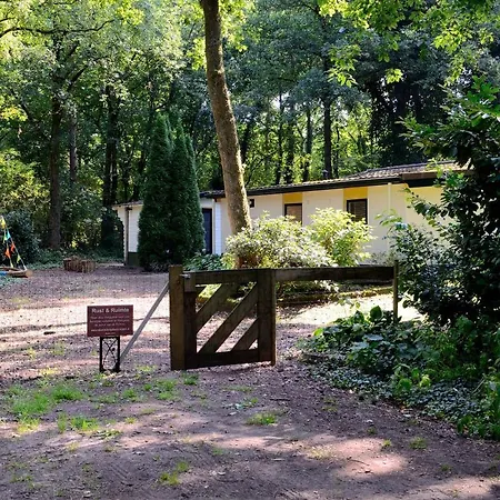 Vakantiebungalow En Glamping Op De Veluwe אוהל מפואר