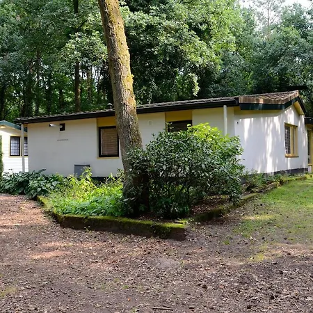 Vakantiebungalow En Glamping Op De Veluwe נונספייט