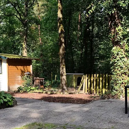 אוהל מפואר Vakantiebungalow En Glamping Op De Veluwe נונספייט