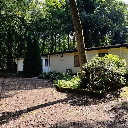 אוהל מפואר Vakantiebungalow En Glamping Op De Veluwe